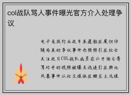 col战队骂人事件曝光官方介入处理争议