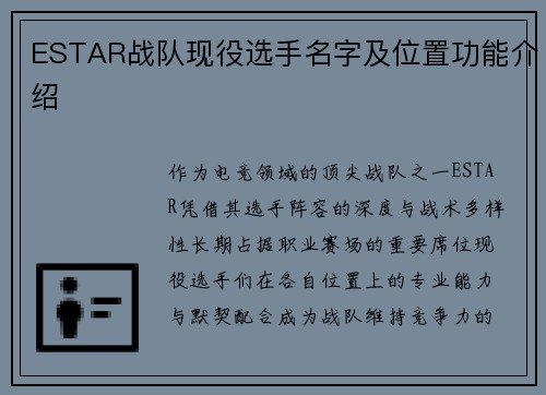 ESTAR战队现役选手名字及位置功能介绍